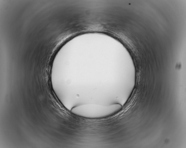 X0000098081212200805021014
