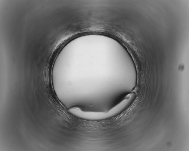 X0000098081214200805021014