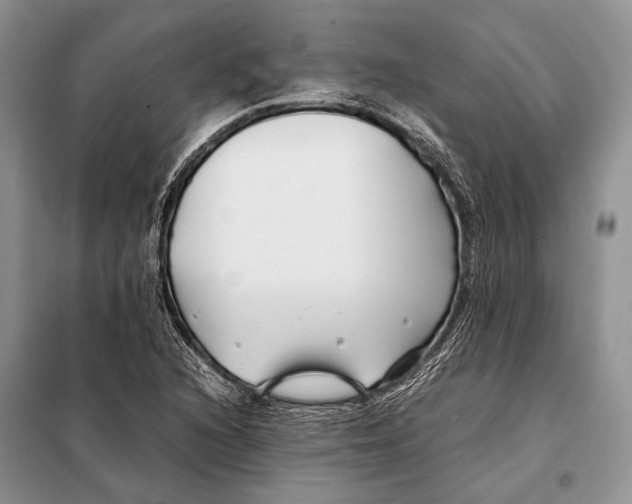 X0000098081216200805021014