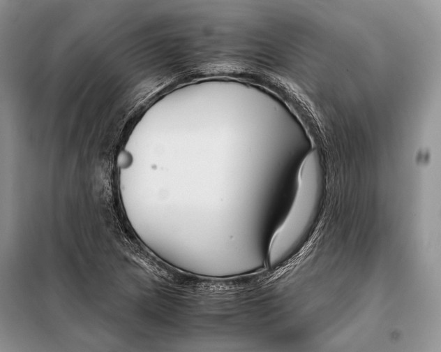 X0000098081217200805021014