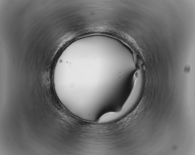 X0000098081218200805021014