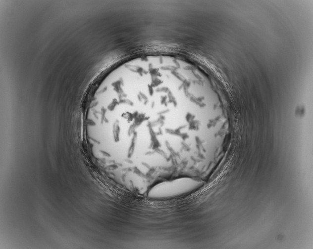 X0000098081219200805021014