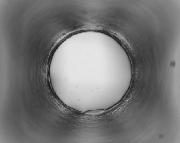 X0000098081220200805021014
