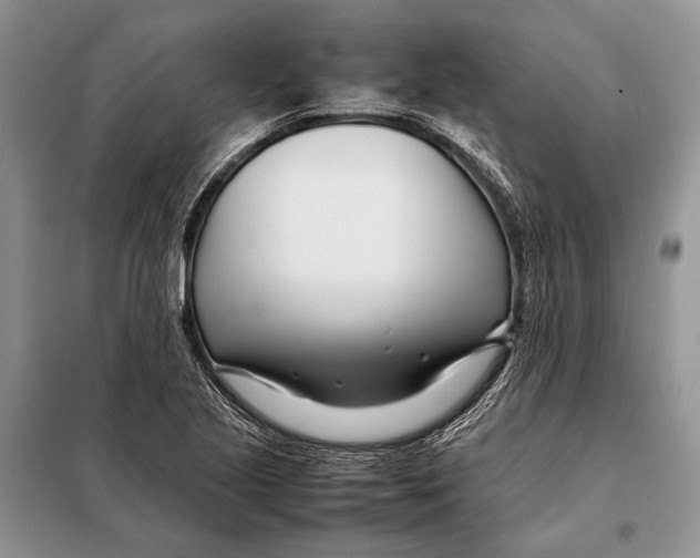 X0000098081221200805021014