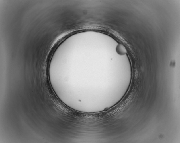 X0000098081222200805021014