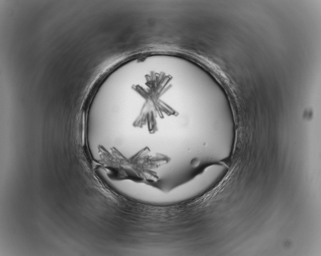 X0000098081223200805021014