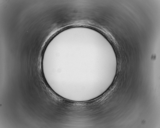 X0000098081224200805021014