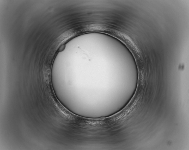 X0000098081225200805021014
