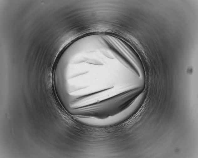 X0000098081226200805021014
