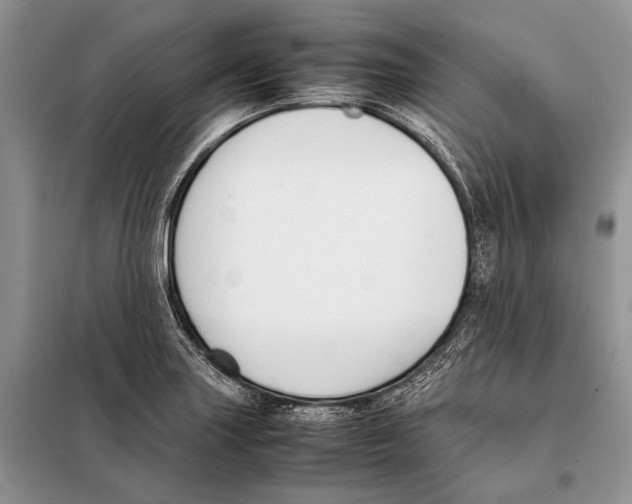 X0000098081227200805021014