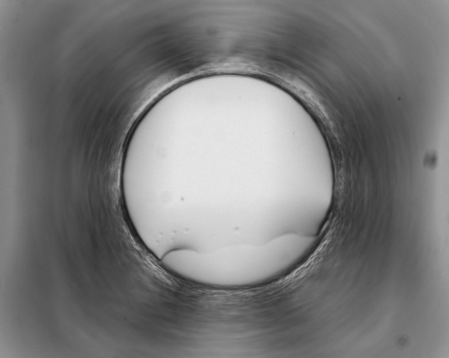 X0000098081228200805021014