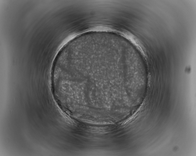X0000098081229200805021014