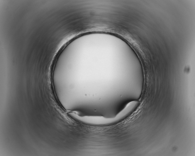 X0000098081230200805021014