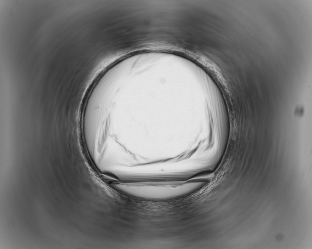 X0000098081231200805021014