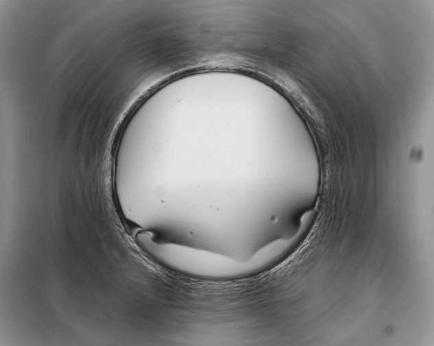X0000098081232200805021014