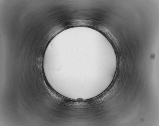 X0000098081233200805021014