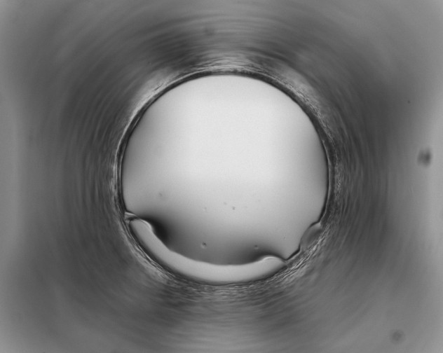 X0000098081234200805021014