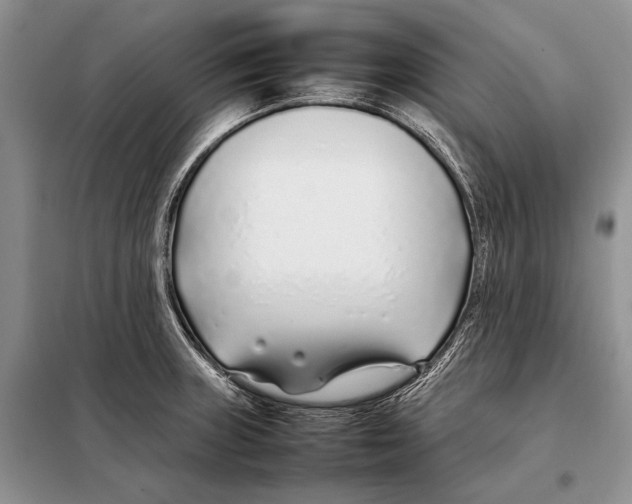 X0000098081235200805021014