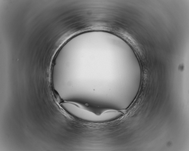 X0000098081236200805021014