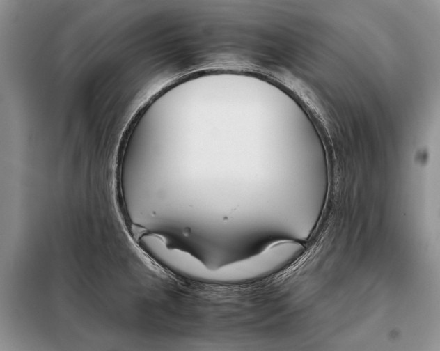 X0000098081237200805021014