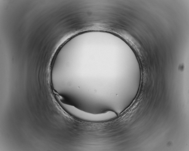 X0000098081238200805021014
