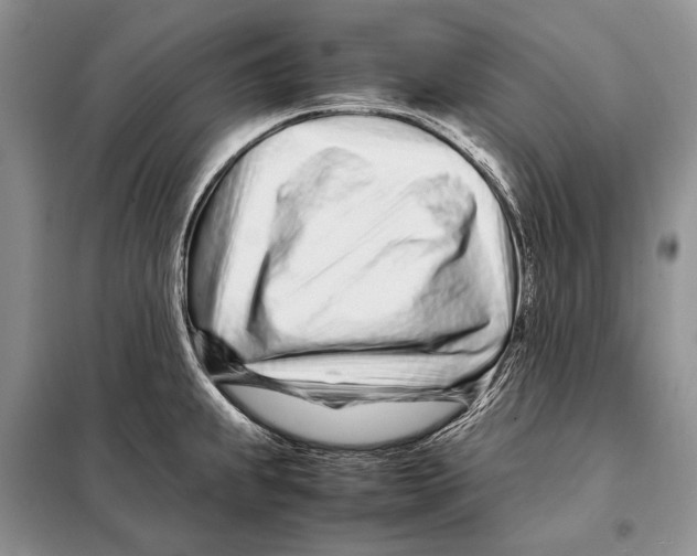 X0000098081239200805021014