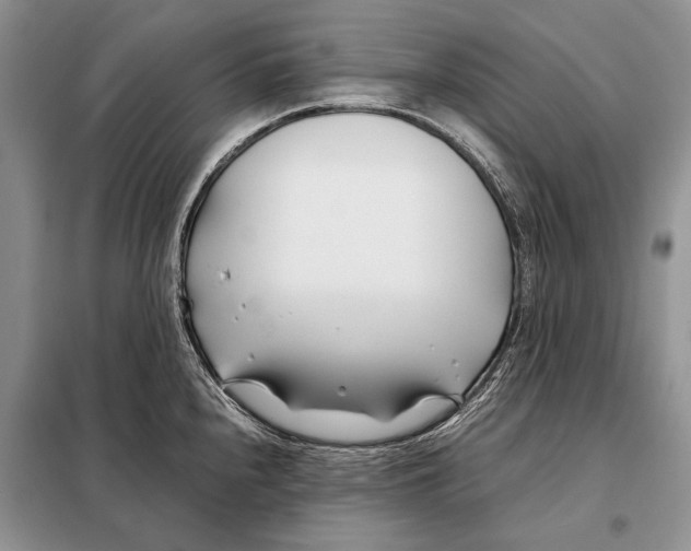 X0000098081240200805021014