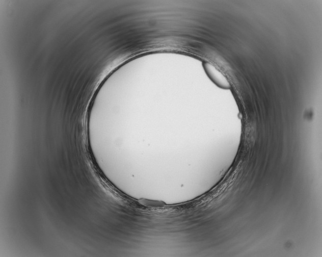 X0000098081242200805021014