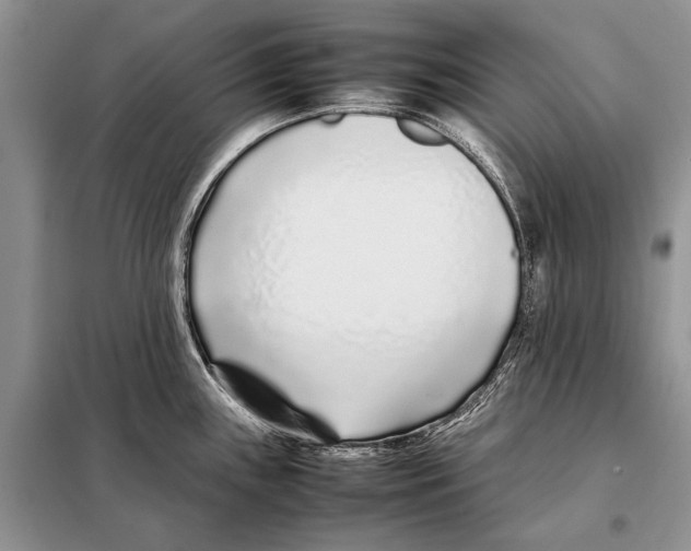 X0000098081243200805021014