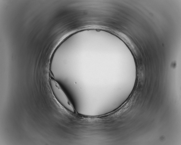 X0000098081244200805021014
