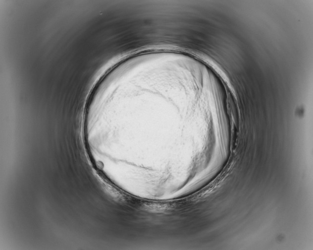 X0000098081245200805021014