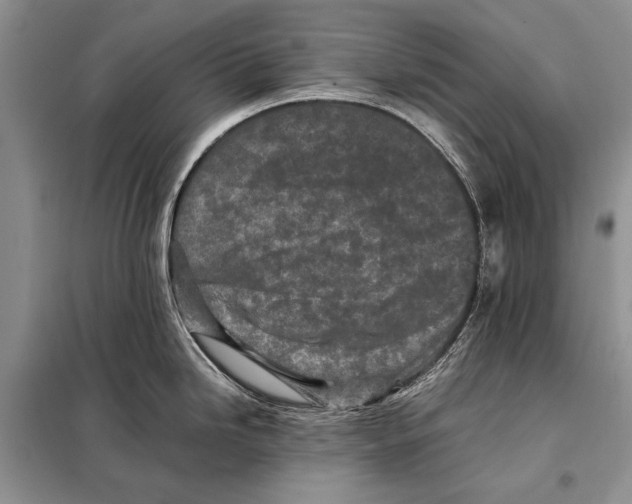 X0000098081246200805021014