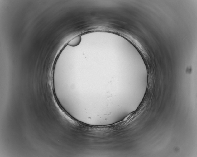 X0000098081247200805021014