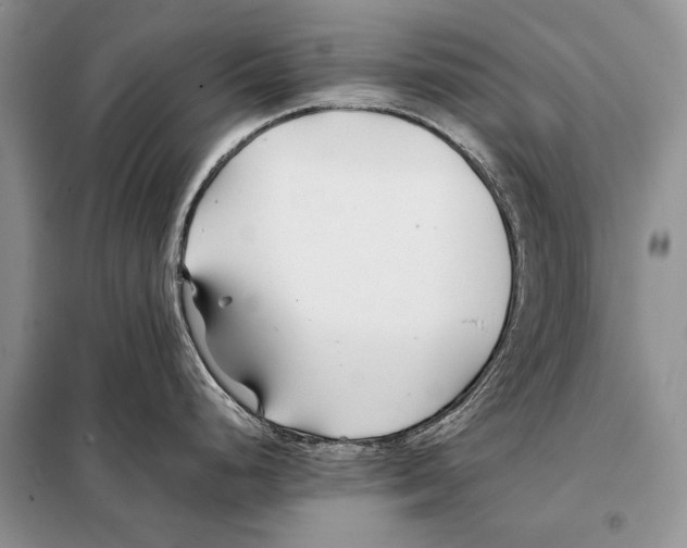 X0000098081248200805021014
