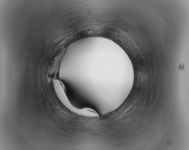 X0000098081250200805021013