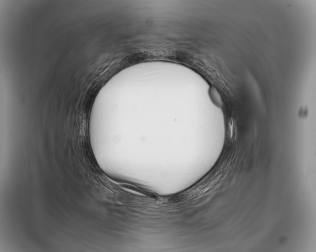 X0000098081251200805021013