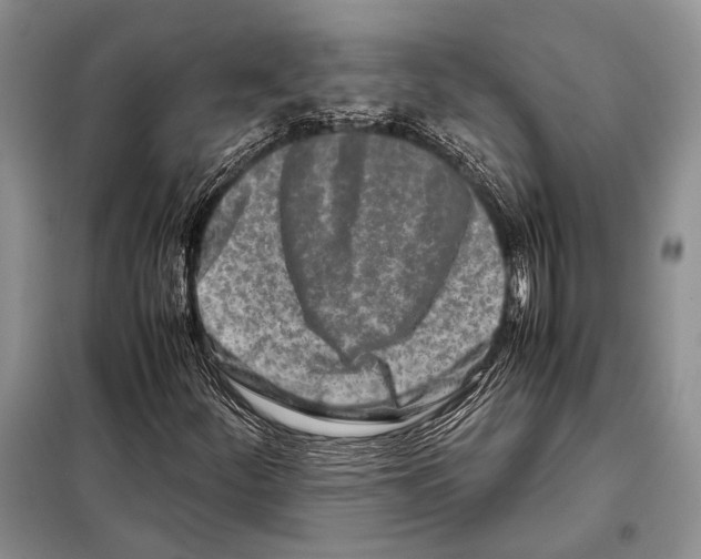X0000098081252200805021013