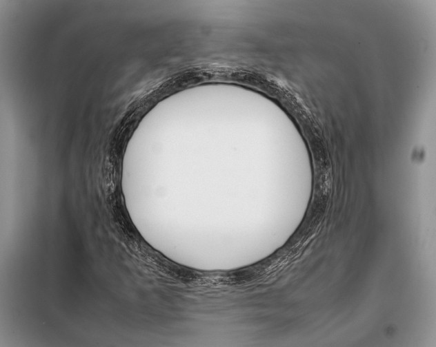 X0000098081253200805021013