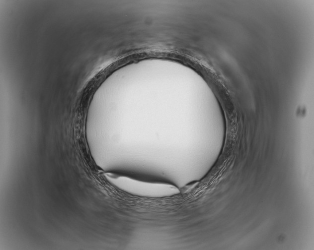 X0000098081255200805021013