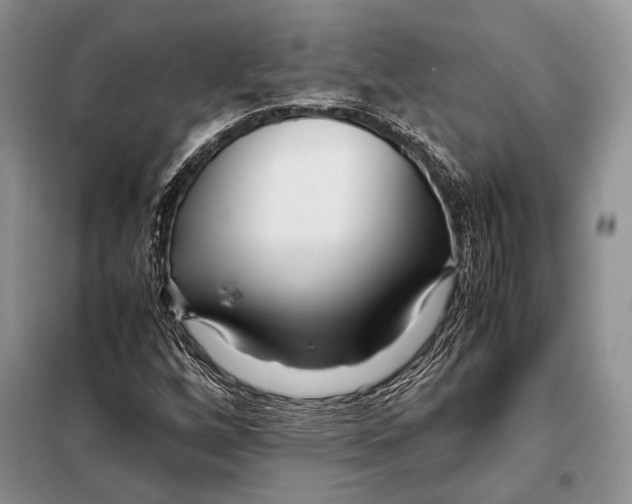 X0000098081256200805021013