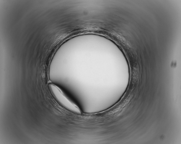 X0000098081257200805021013