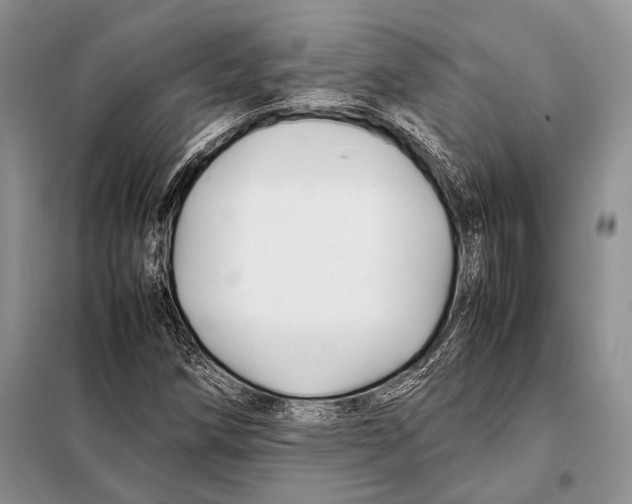 X0000098081258200805021013