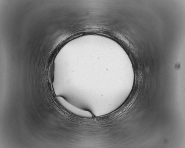 X0000098081259200805021013