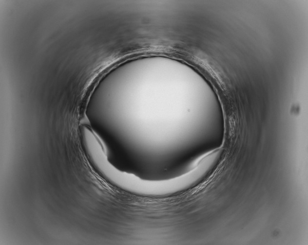 X0000098081260200805021013