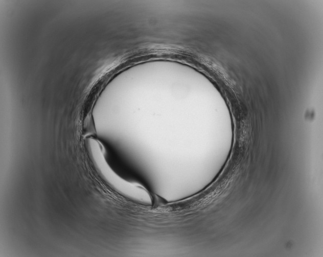 X0000098081261200805021013