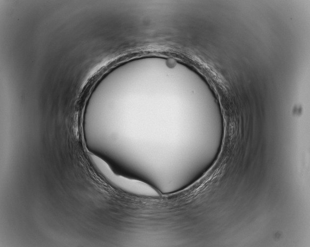 X0000098081262200805021013