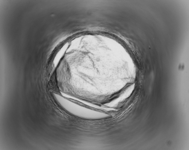 X0000098081263200805021013