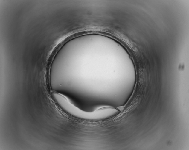 X0000098081264200805021013