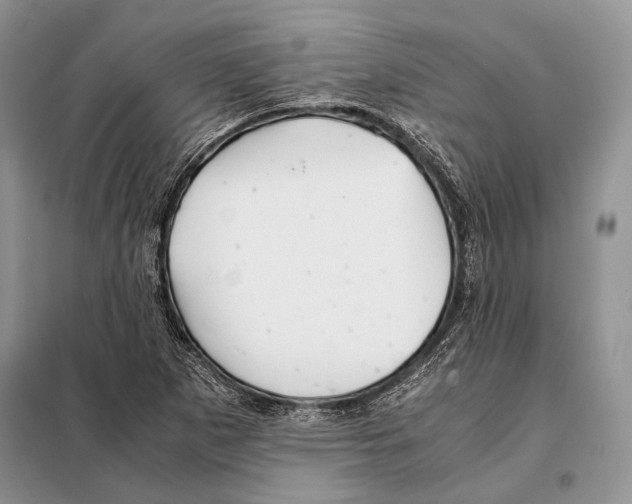 X0000098081265200805021013