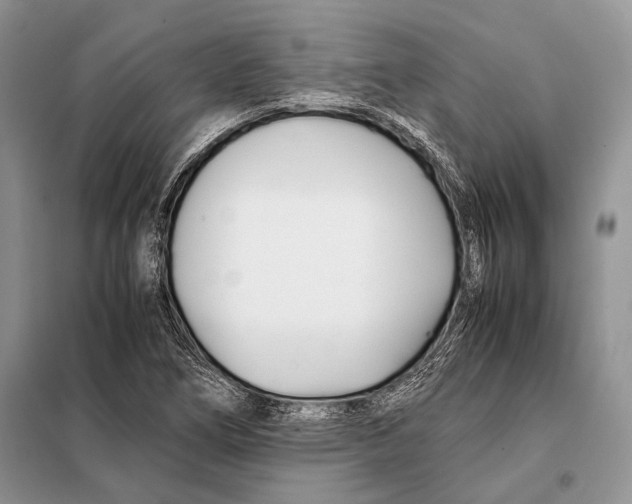 X0000098081266200805021013